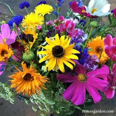 Beekeeper's Early Blooming Mix