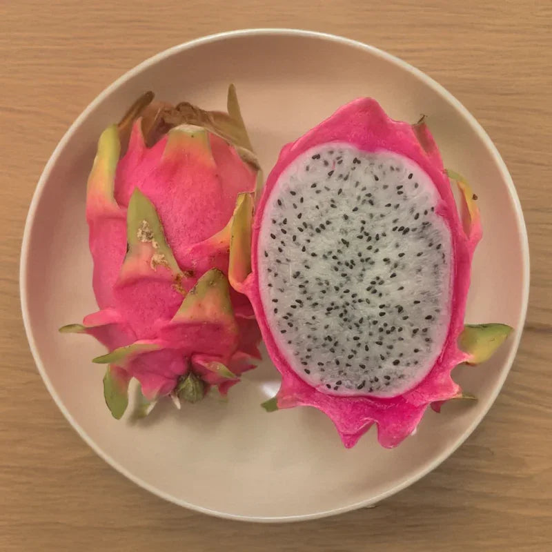 Organic Bien Hoa White Dragon Fruit Cuttings