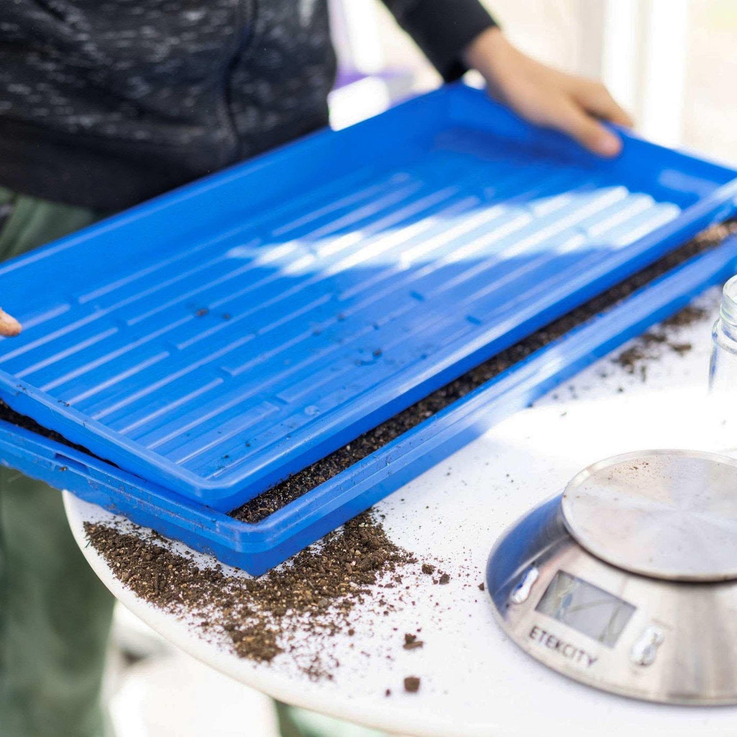1020 Microgreen Trays Shallow Extra Strength