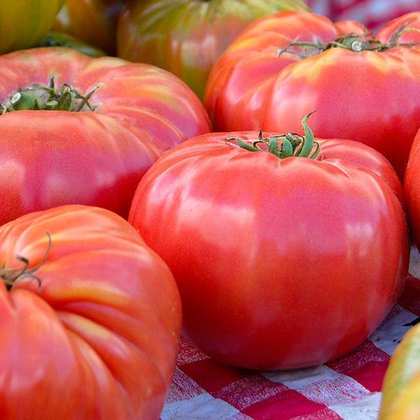 Brandywine Pink Tomato Seeds (Organic)