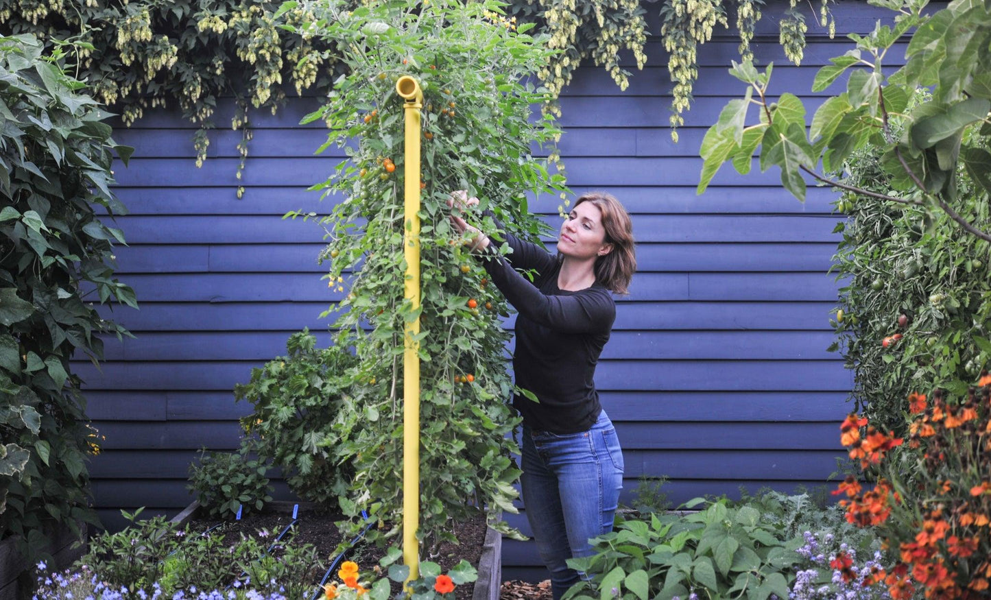 Freyr Trellis