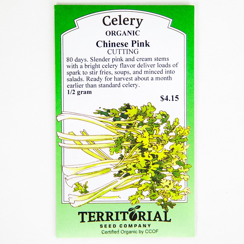 Chinese Pink Celery