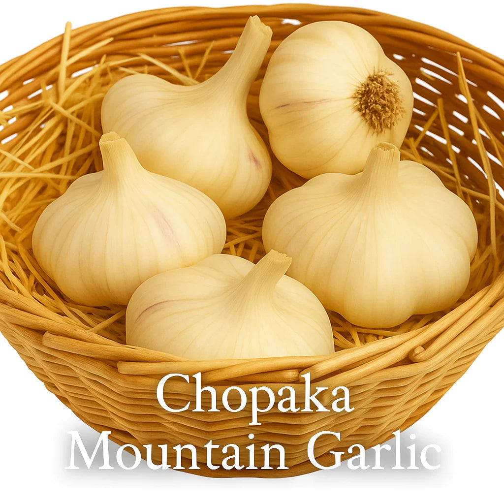 Full of Flavor Curated Organic Garlic Pack
