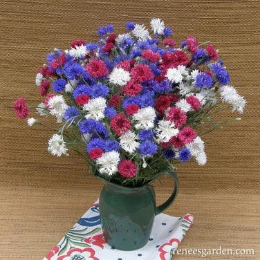 4th of July Cornflower Mix