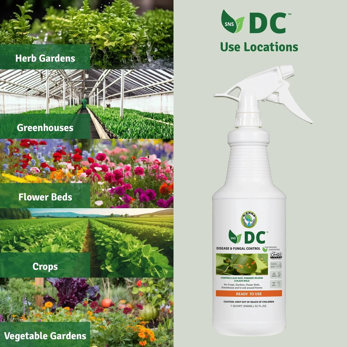 Organic Disease & Fungal Control RTU 32 oz