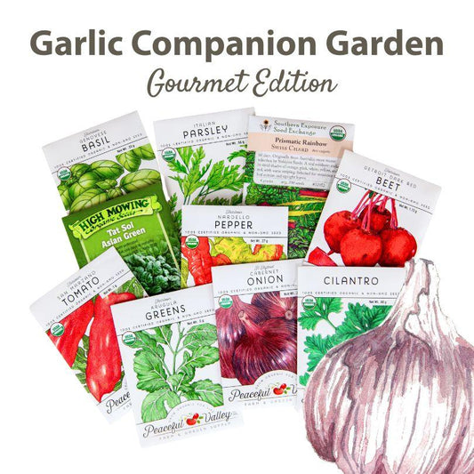 The Garlic Companion Garden – Gourmet Edition