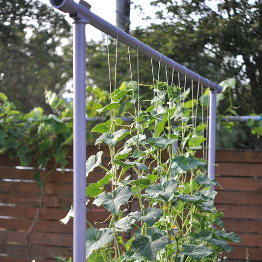 Freyr Trellis