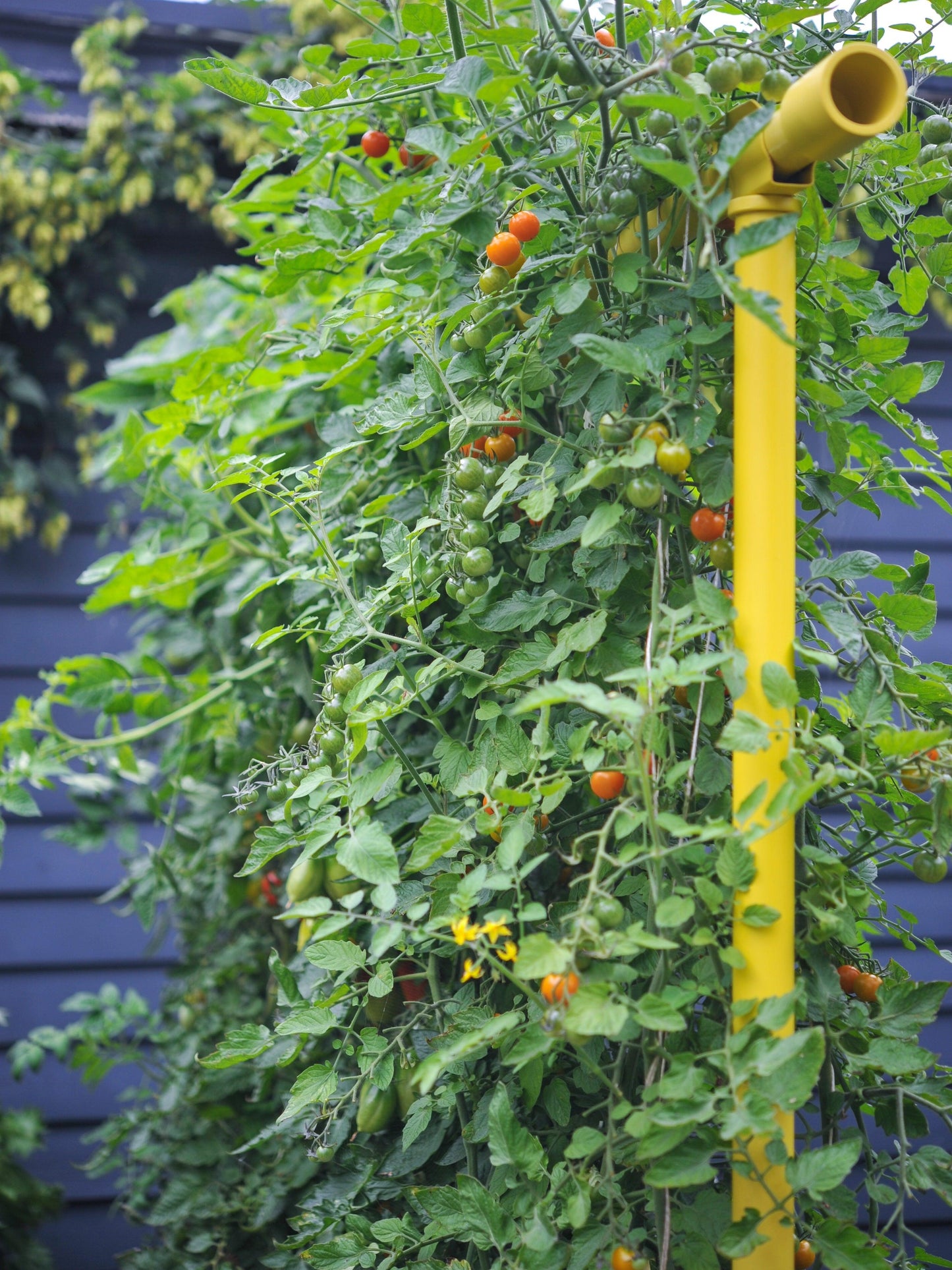 Freyr Trellis