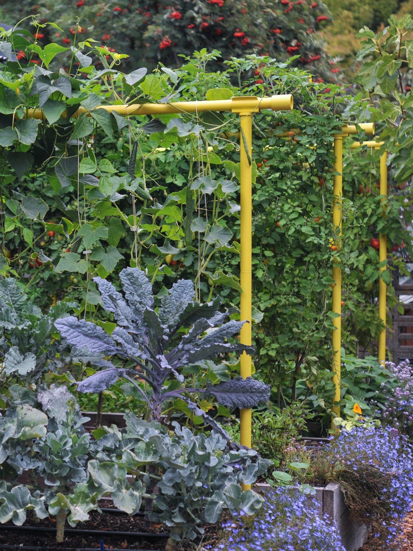 Freyr Trellis