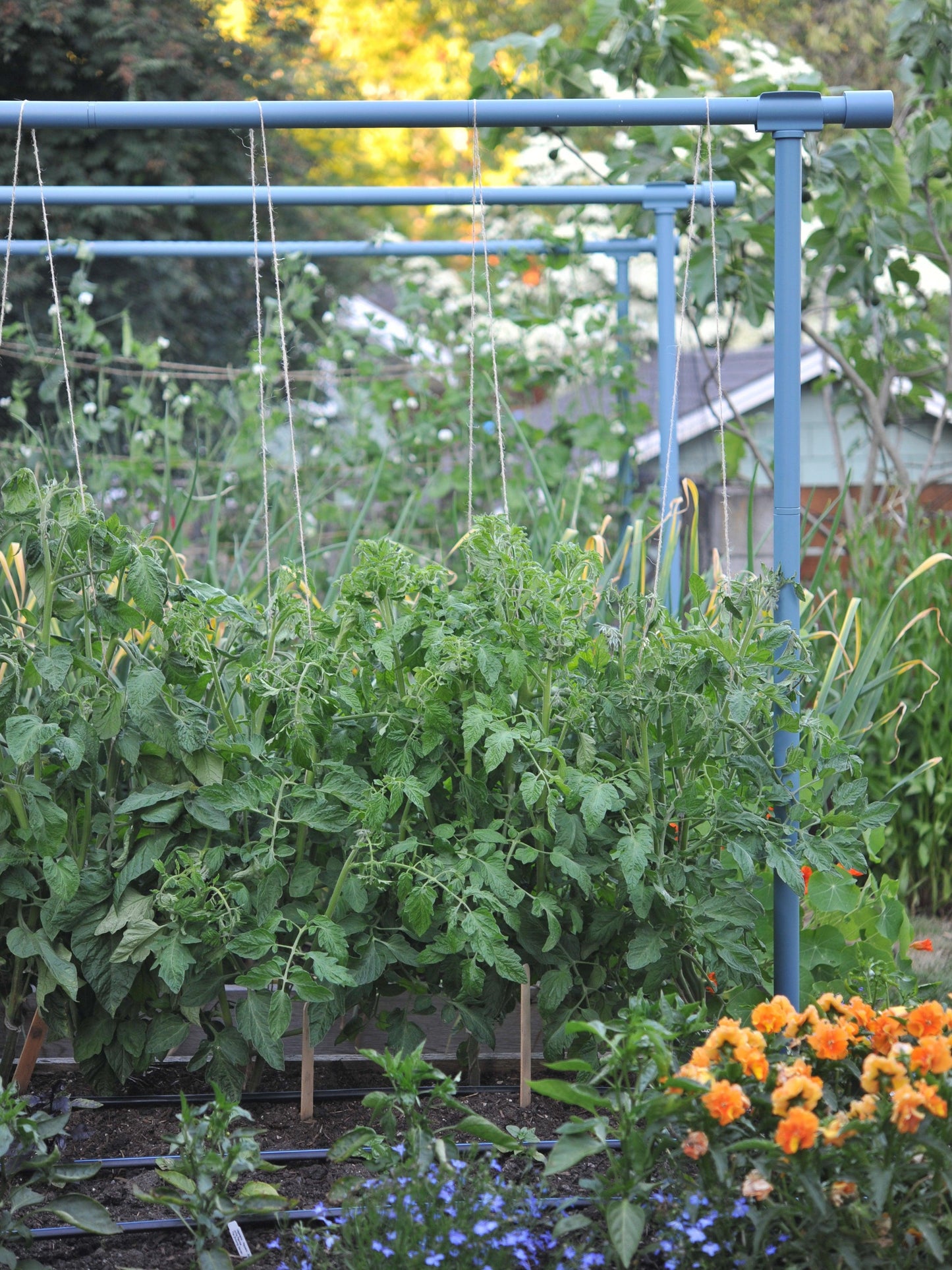 Freyr Trellis