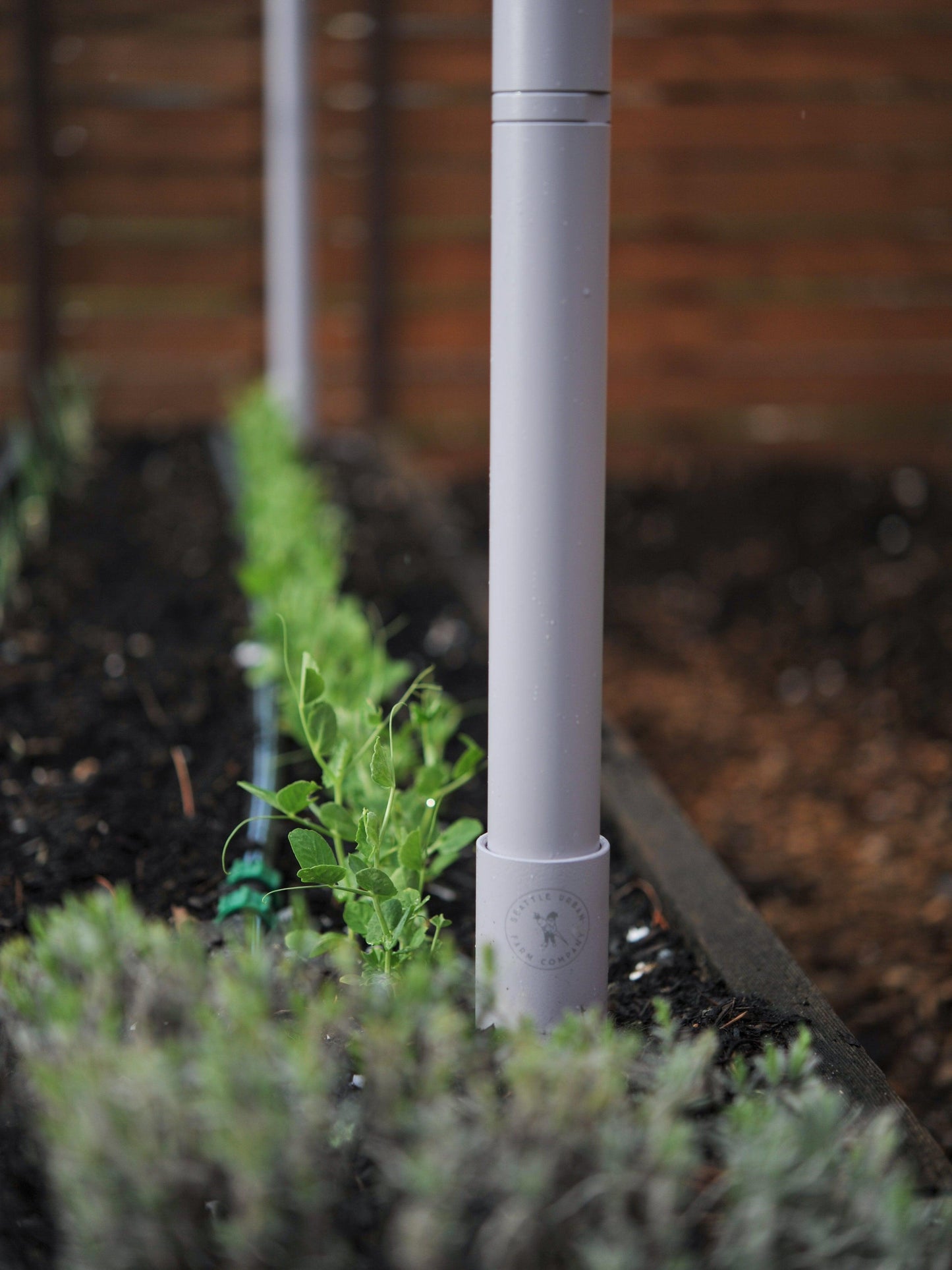 Freyr Trellis