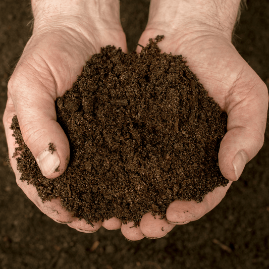 Ecomax Neem Seed Meal 6-1-2 Powder (50 lb)