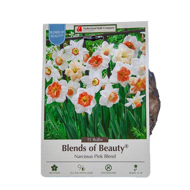 Narcissus Pink Blend (14pk)