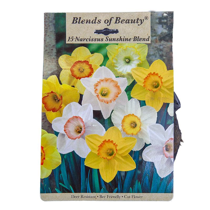 Daffodil Sunshine Blend (Pack of 14)