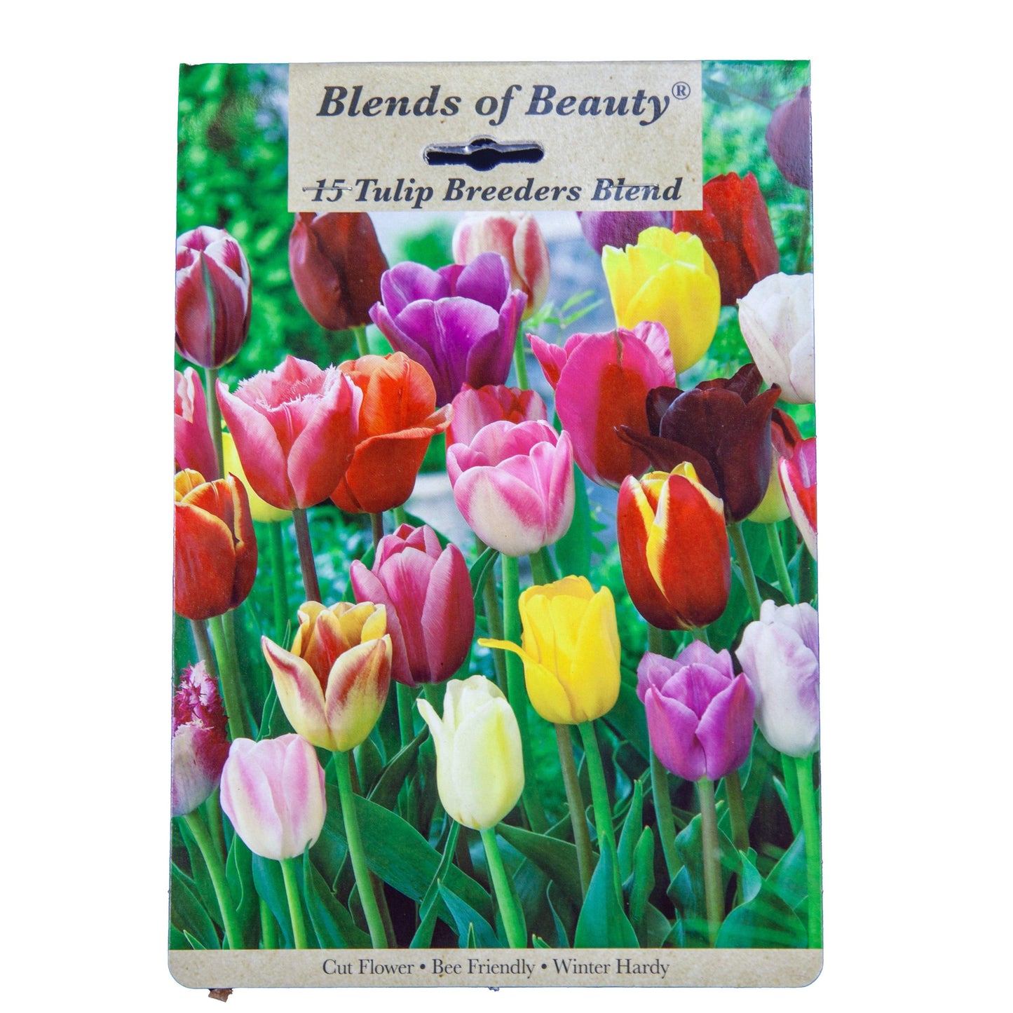 Tulip Breeders Blend (Pack of 12)