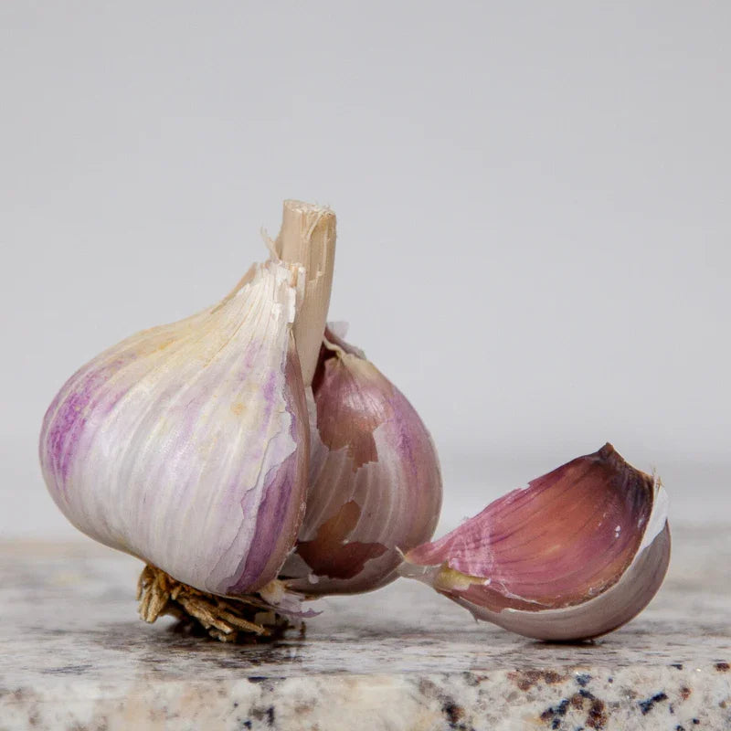 Conventional Music Garlic (Lb)