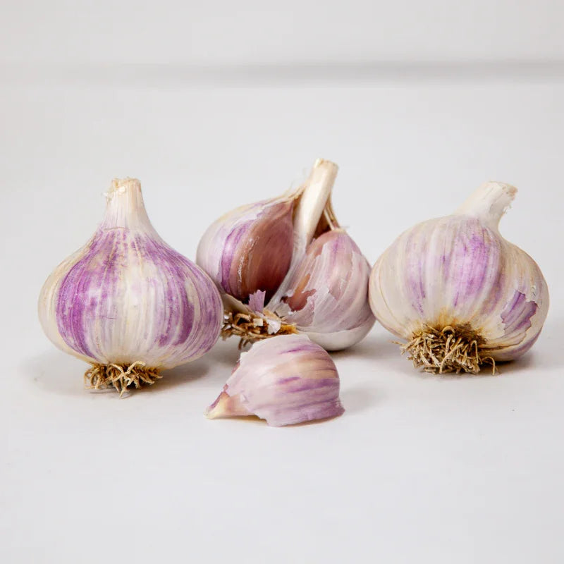 Conventional Music Garlic (Lb)