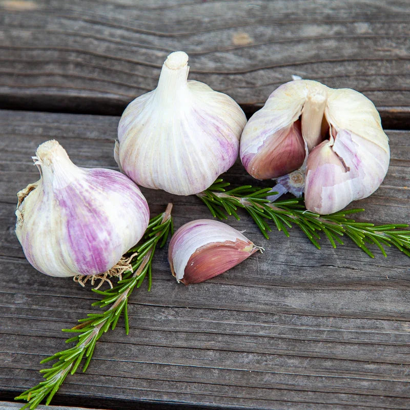Conventional Music Garlic (Lb)