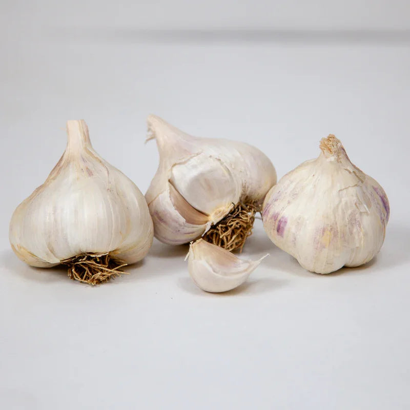 Organic Sicilian Garlic (lb)