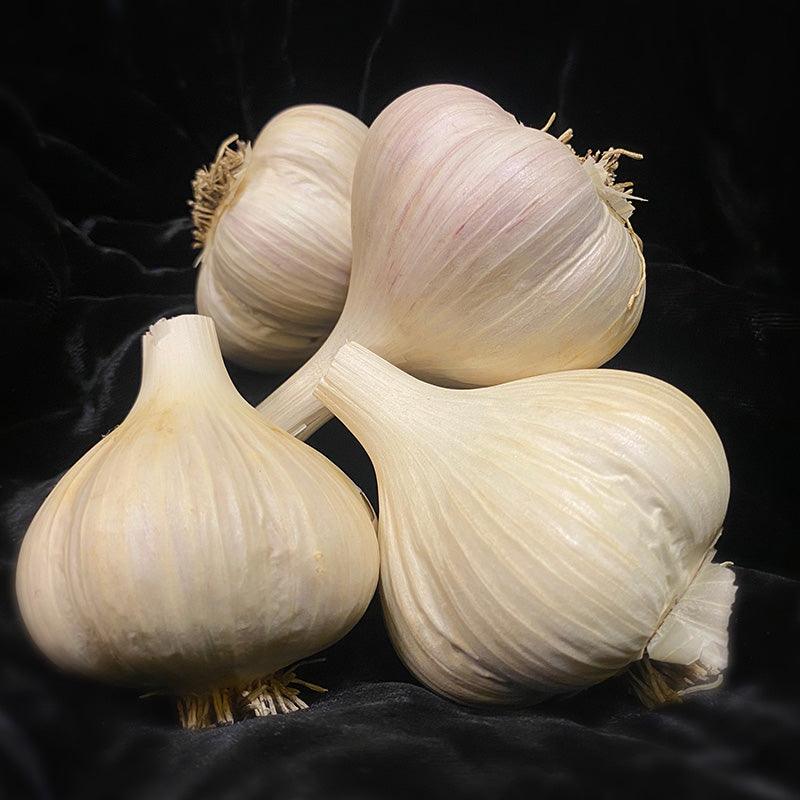 Organic Norquay Garlic (lb)