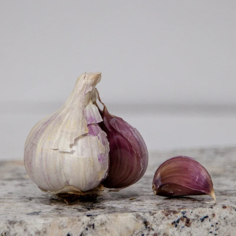 Organic Norquay Garlic (lb)