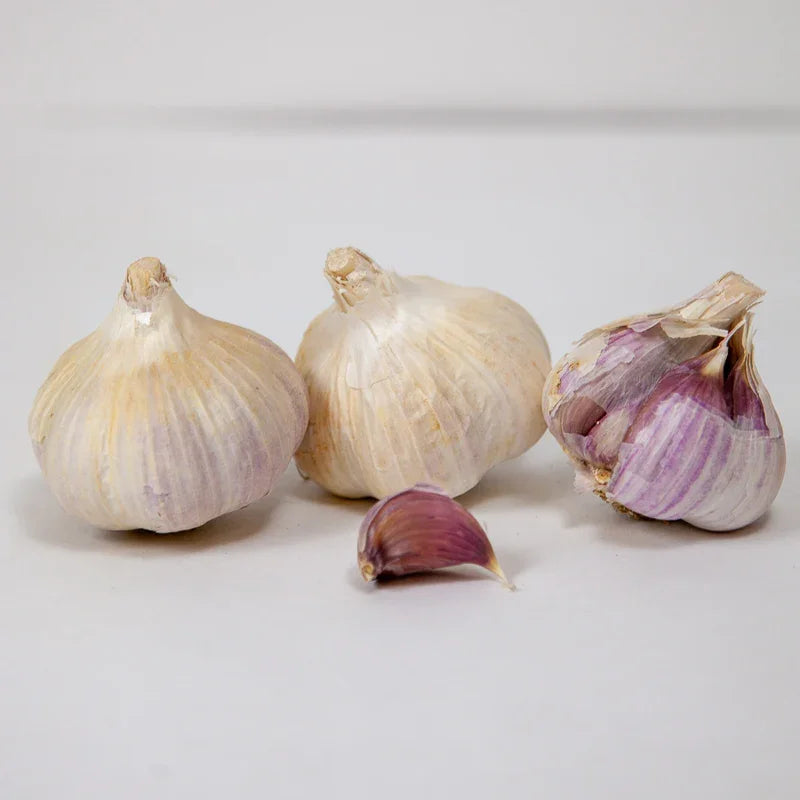 Organic Norquay Garlic (lb)