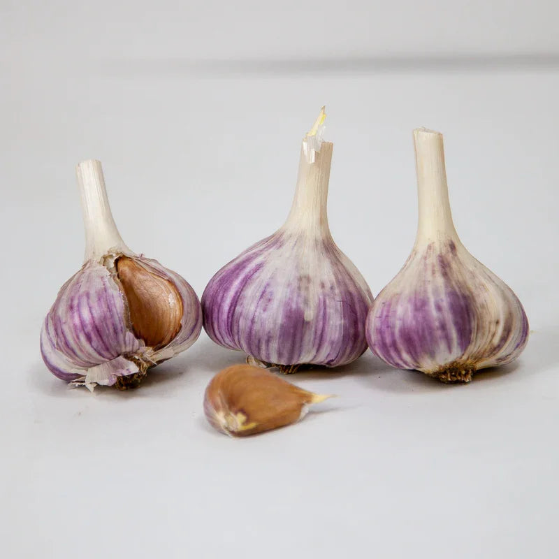 Georgian Fire Garlic (Lb)