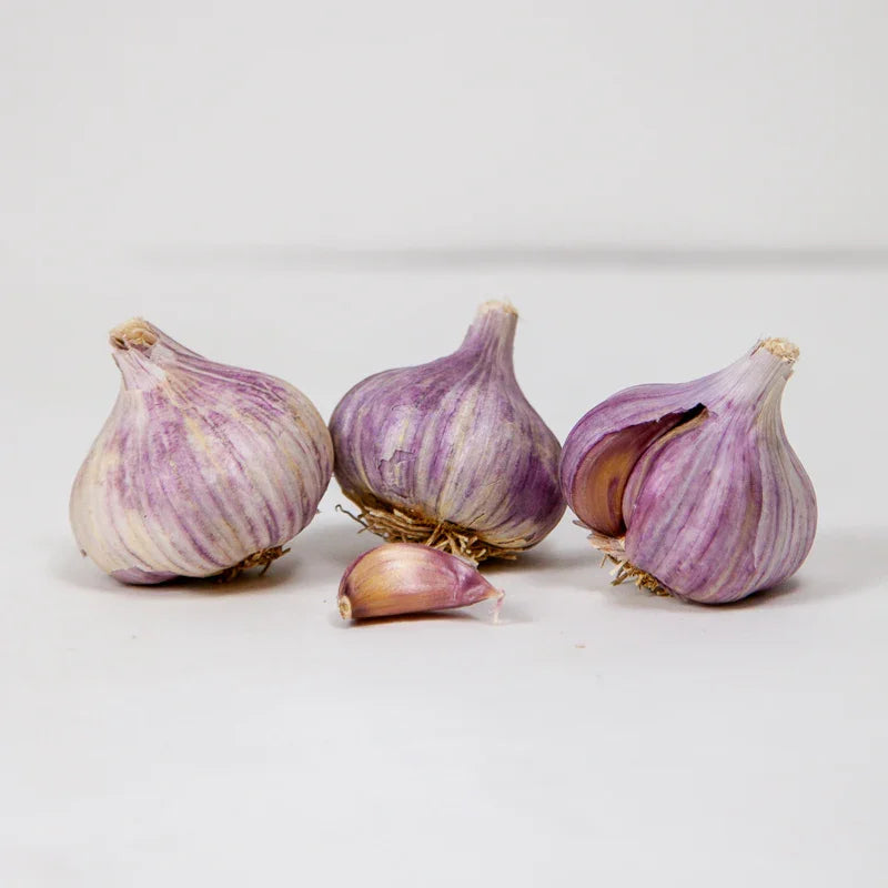 Organic Persian Star Garlic (lb)