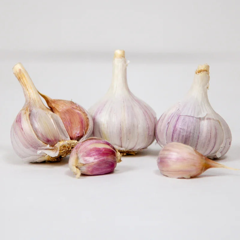 Organic Duganski Garlic (lb)