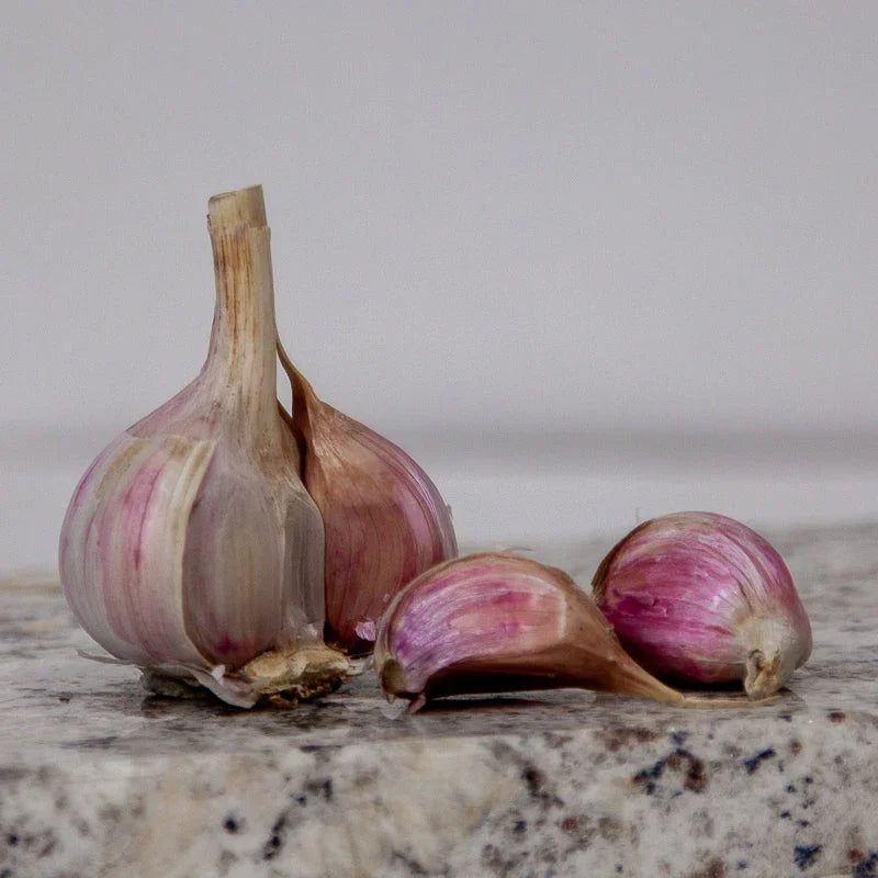 Organic Duganski Garlic (lb)