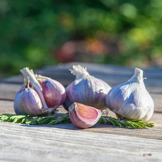 Organic Romanian Red Garlic (lb)