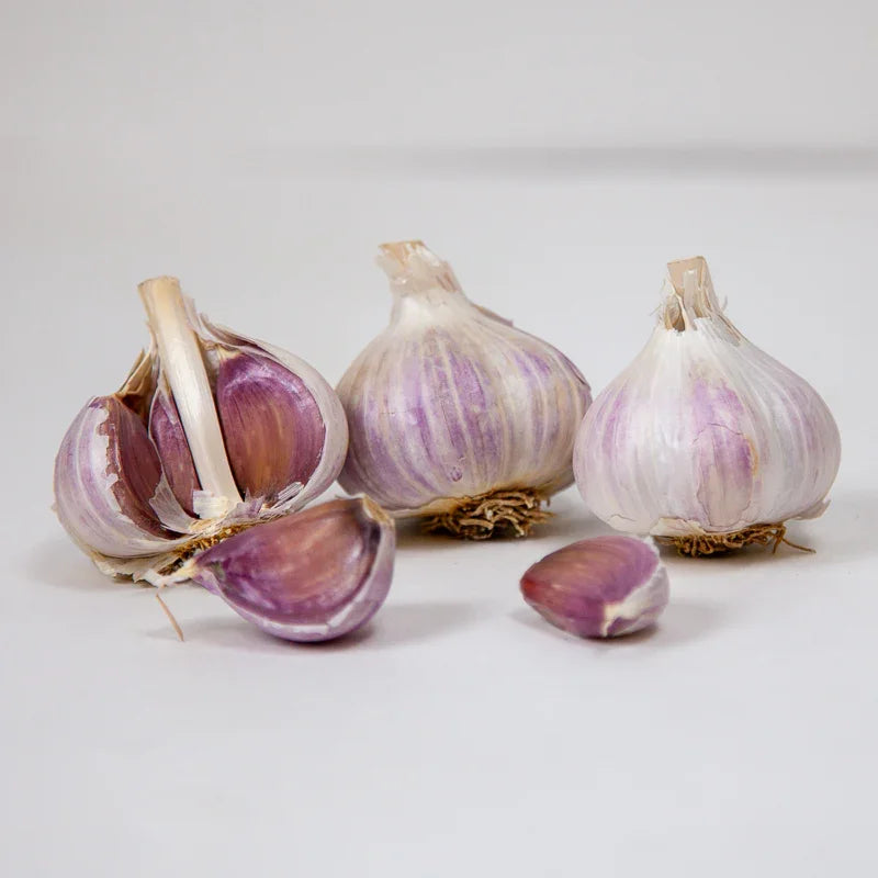 Organic Romanian Red Garlic (lb)