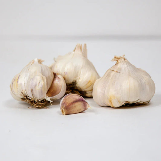 Organic Messidor Garlic (lb)