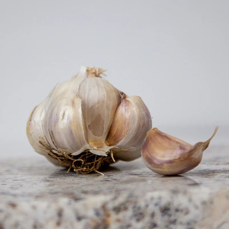 Organic Messidor Garlic (lb)