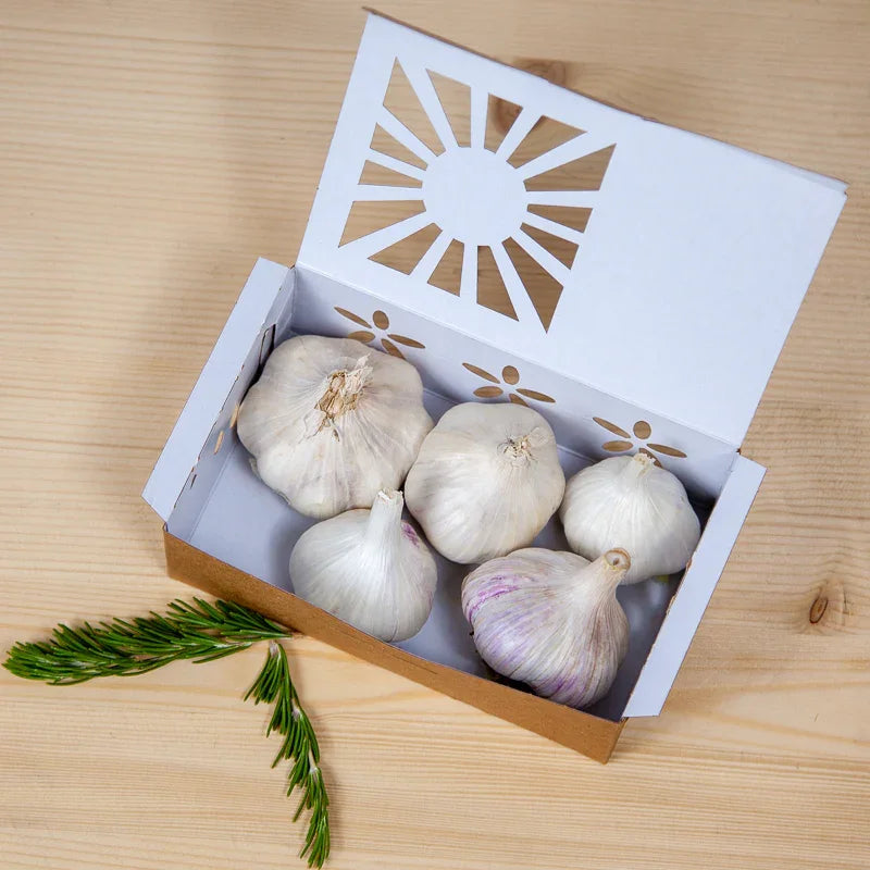 Full of Flavor Curated Organic Garlic Pack