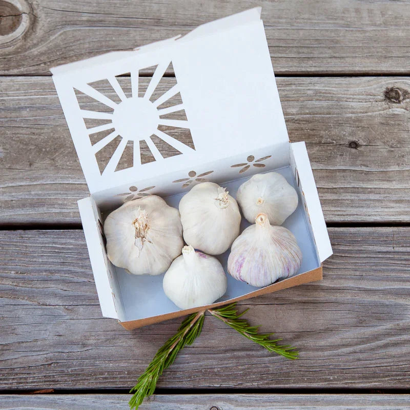 Full of Flavor Curated Organic Garlic Pack
