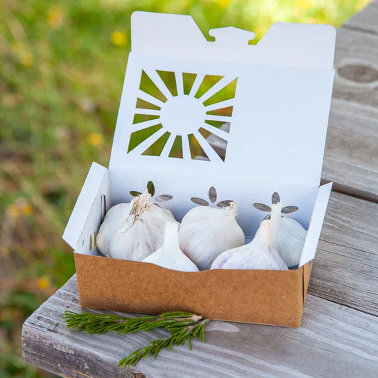 Full of Flavor Curated Organic Garlic Pack