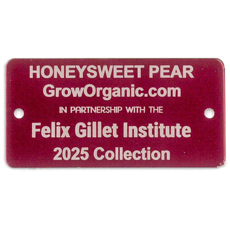 Honeysweet Pear Tree