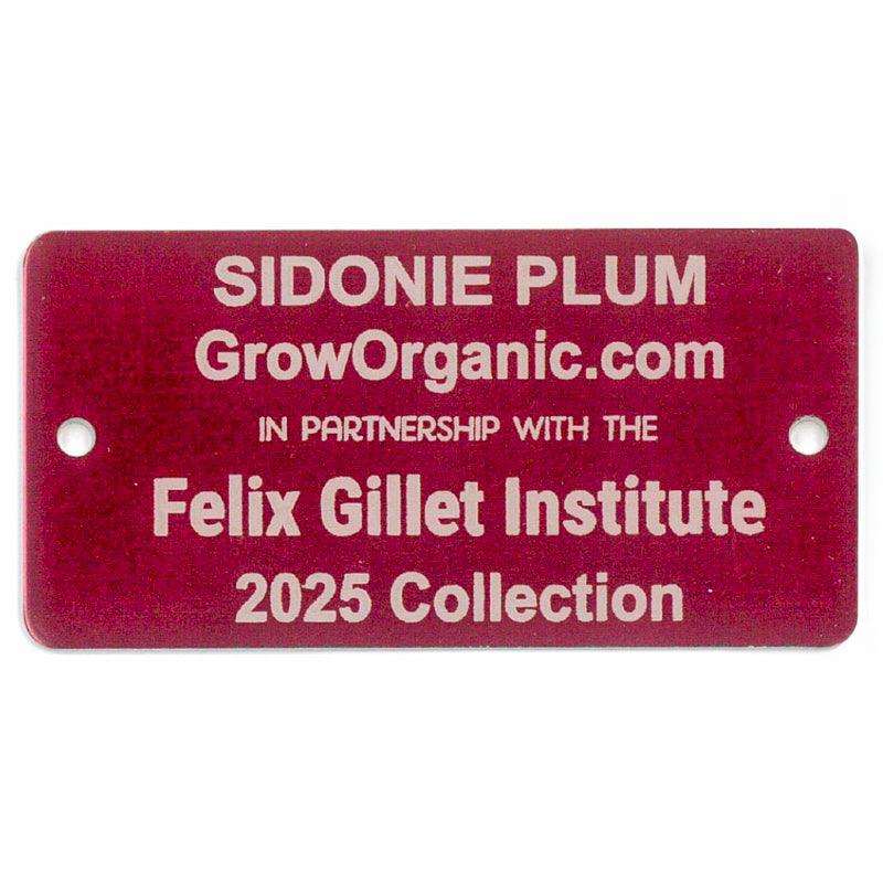 Sidonie Plum Tree