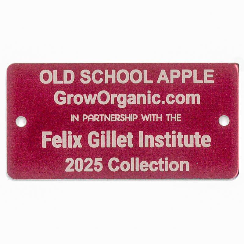 Old School Apple Tree