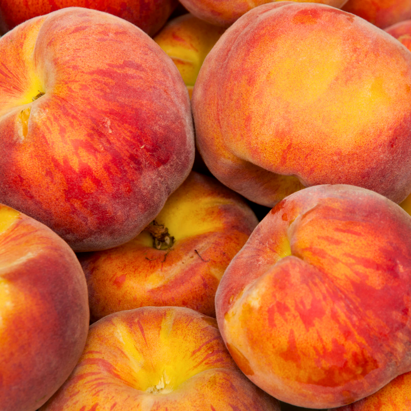 Low Chill Requirement Peaches, 3 on 1 Multi Grafted Fruit Tree