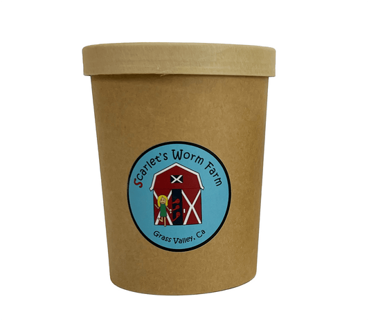 Scarlet's Worm Farm - 300 Composting Worms