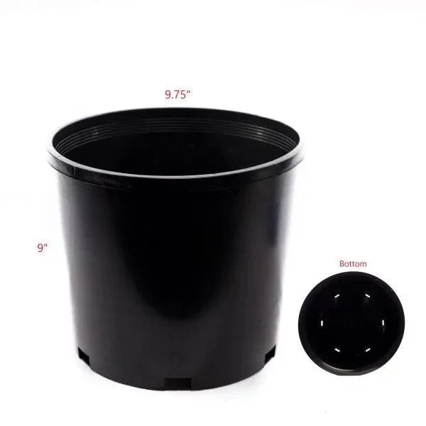 9.75 X 9" Anderson Polycan (Case of 60)