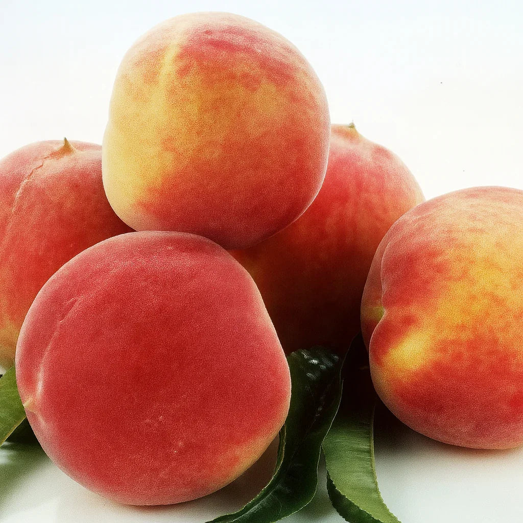 California Peach, 3 on 1 Multi Grafted Fruit Tree