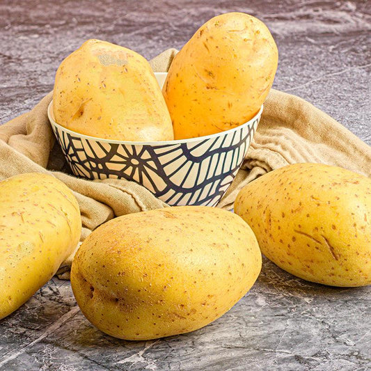 Organic Grand Duke Seed Potato (lb)