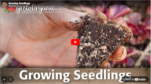 Peaceful Valley Seed Starting Kit