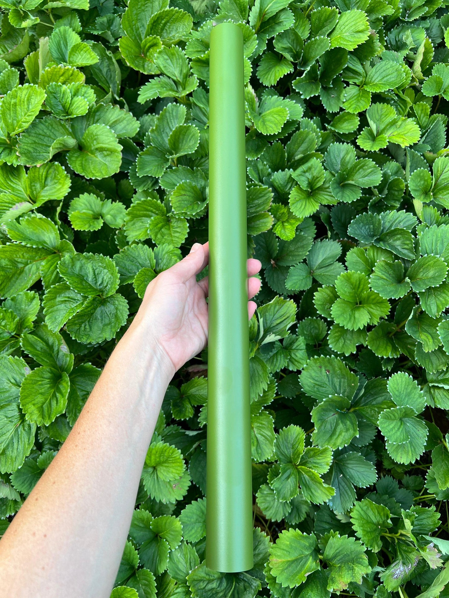 Freyr Trellis