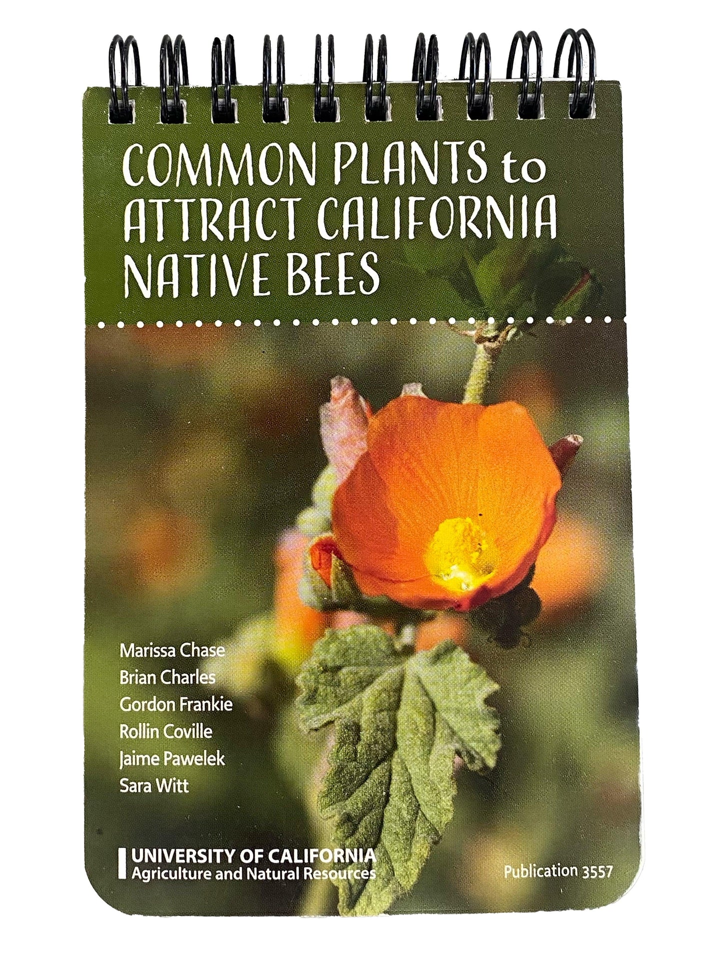 Common Plants to Attract California Native Bees ID Cards