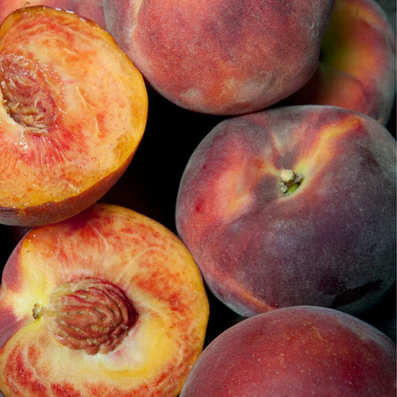 Zaiger Pride Peach, 3 on 1 Multi Grafted Fruit Tree