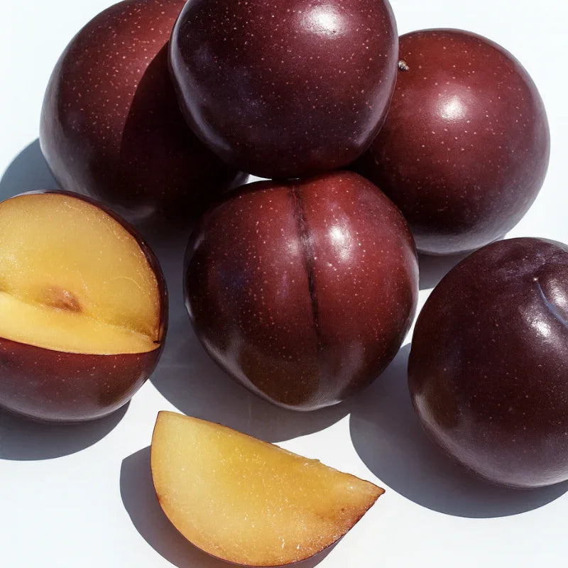 Japanese Plum, 3 on 1 Multi Grafted Fruit Tree